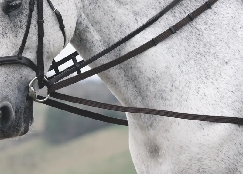 Shires Web Running Reins Black One Size